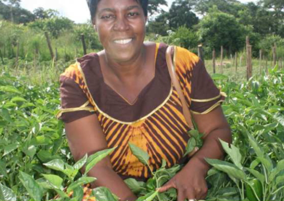 Petronela Pasimamire